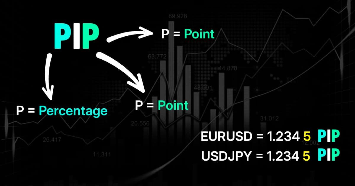 What Are Pips in Forex Trading